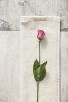 Walra gastendoek soft cotton kiezel grijs 30x50 cm set van 2 (beige) - thumbnail