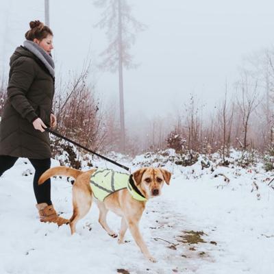 HUNTER Honden-veiligheidsvest Safety, geel, Maat: L HUNTER Honden-veiligheidsvest Safety, geel, Maat: L