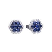 Oorbellen Dames Diamonfire 6220721089 3 cm - thumbnail