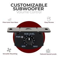 Underseat Auto Subwoofer Met Versterker - 100 Watt RMS - 500 Watt Piekvermogen - RCA - 8 Inch Woofer (BC120US) - thumbnail