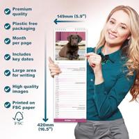 Labrador Retriever Bruin Kalender 2026 Slimline - thumbnail