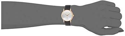 Calvin Klein ESTABILISHED (Ø 32 mm) Dames horloge
