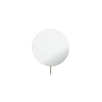 Hotbath Vergrotingsspiegel Cobber Wandmontage Draaibaar 20 cm Gepolijst Messing PVD - thumbnail