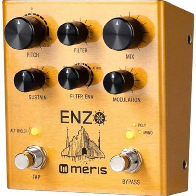 Meris Enzo Multi-Voice Instrument Synthesizer effectpedaal