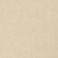 Vliesdoek voor planten 70 g/m 50x1,6 m - thumbnail