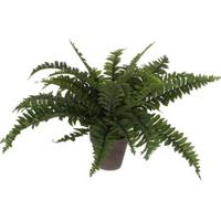 Kunstplant mica boston varen groen in pot - thumbnail