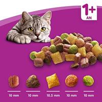 WHISKAS Cat Adult met kip - droogvoer voor katten - 7 kg - thumbnail
