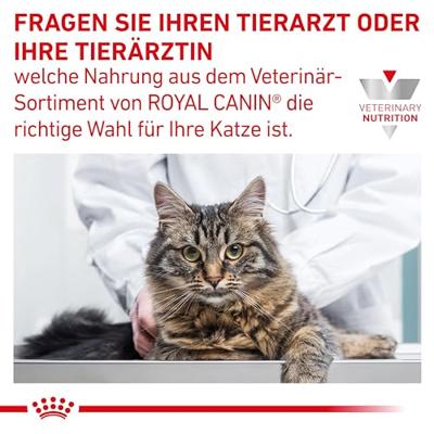 Royal Canin Cat Gastrointestinal Dry 2kg