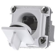 Telegärtner 100022954 STX V6 RJ45-flensset variant 6 Koppeling, inbouw Aantal polen: 8P8C Lichtgrijs 1 stuk(s)