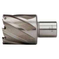 Makita HB36S | Kernboor HSS 36x30mm | Weldon - thumbnail