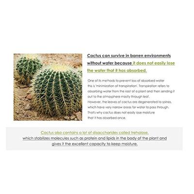 Isntree Hyaluronic Acid Toner 400 ml