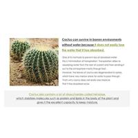 Isntree Hyaluronic Acid Toner 400 ml - thumbnail