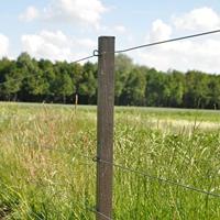 Gallagher Insultimber (FSC®) tussenpaal 210x5x5cm (1) - 007847 007847 - thumbnail