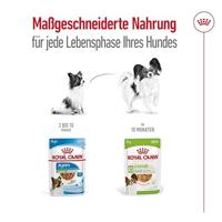 Royal Canin X-Small Adult in Gravy (brokjes in saus) natvoer hond 12 x 85 gram - thumbnail