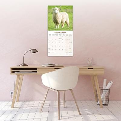 Schapen Kalender 2026 Schapen Kalender 2026