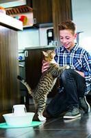 Avalon Petsafe drinkfontein met adapter wit - thumbnail