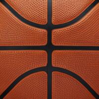 Wilson Basketbal Authentic Outdoor - thumbnail