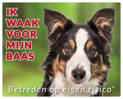 Border Collie Waakbord