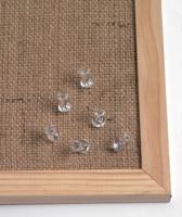 Naga prikbordspelden, transparant - thumbnail