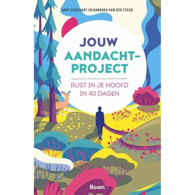 Eindelijk rust in je hoofd (Paperback)