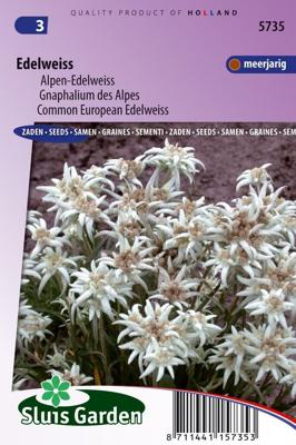Leontopodium Alpinum zaden Edelweiss