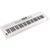 Roland GO:KEYS 5 WH keyboard wit