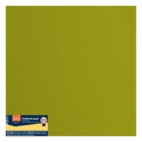 Florence • cardstock papier 216g textuur 30,5x30,5cm fern 20x - thumbnail