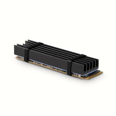 AXAGON CLR-M2L10 CLR-M2L10 M.2 SSD-koeler