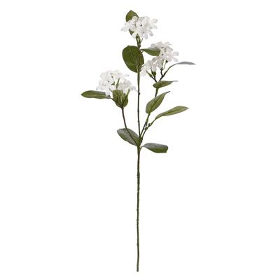 Stephanotis kunstbloem 70cm wit