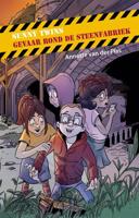 Sunny Twins - Gevaar rond de steenfabriek (Hardback) - thumbnail