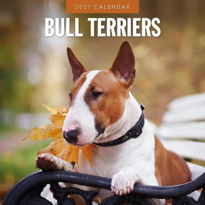 Bull Terrier Kalender 2027 Bull Terrier Kalender 2027
