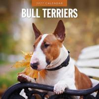 Bull Terrier Kalender 2027 - thumbnail