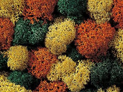 NOCH 8630 Mos Herfstmengsel