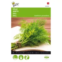 Buzzy® Dille Zaden - thumbnail