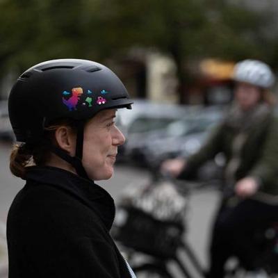 REFLECTIVE BERLIN reflex-stickers "decals" refl.strip refl.berlin decals t-rex rainbow