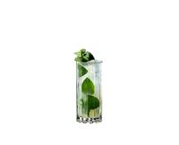 Riedel Longdrinkglazen / Cocktailglazen Highball - 310 ml - 2 stuks - thumbnail
