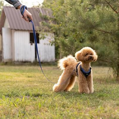 Ferplast Ergocomfort Tuig  Grijs - XS