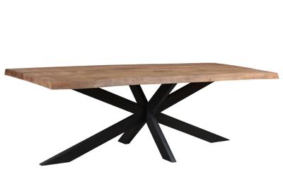 Brix Eettafel 'Tree Top' Spider, 200 x 100cm