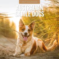 Australian Cattle Dog Kalender 2027 - thumbnail