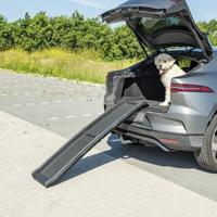 ProPlus vouwbare hondenloopplank kunststof - thumbnail