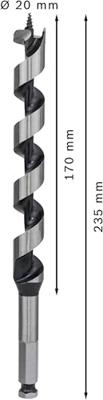 Bosch Accessories 2608597632 Slangenboor 20 mm Gezamenlijke lengte 235 mm Zeskant schacht 1 stuk(s)