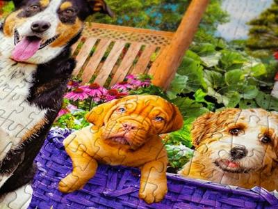 Puppy Patch Puzzel 1000 Stukjes