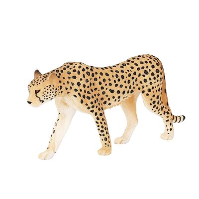 Mojo wildlife cheetah man 387197