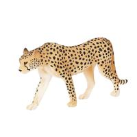 Mojo wildlife cheetah man 387197 - thumbnail