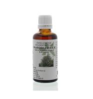 Cruydhof Aesculus Hippocastanum/Paardenkastanje Druppels - thumbnail