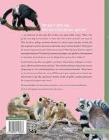 Eén aap is geen aap - thumbnail