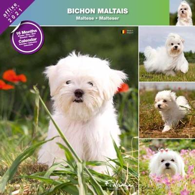 Maltezer Kalender 2021