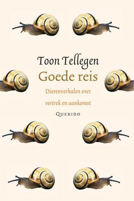 Goede reis - Toon Tellegen - ebook