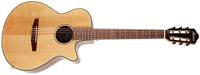 Ibanez AEG50N-NT Natural High Gloss elektrisch akoestische klassieke gitaar - thumbnail