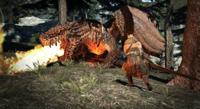 Dragons Dogma - thumbnail